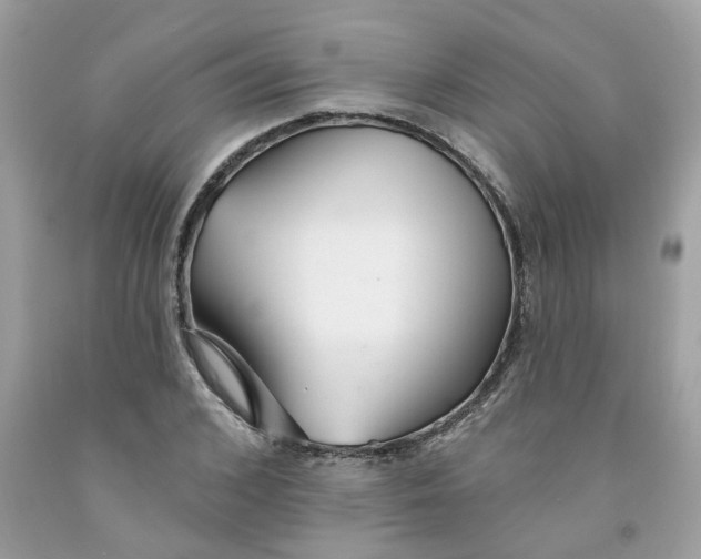 X0000091530976200709141432
