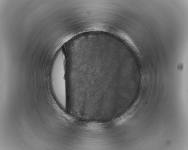 X0000091530977200709141432