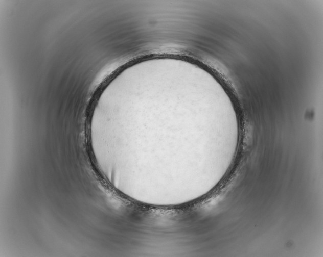 X0000091530978200709141432