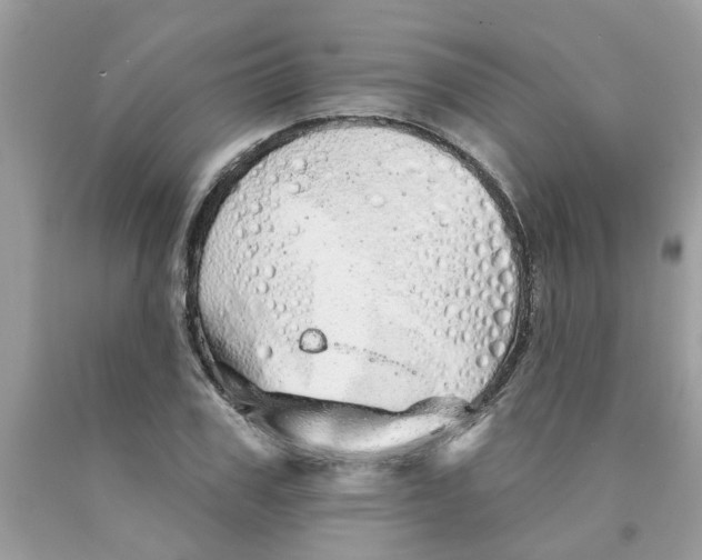 X0000091530979200709141432