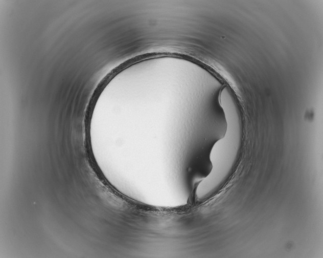 X0000091530980200709141432