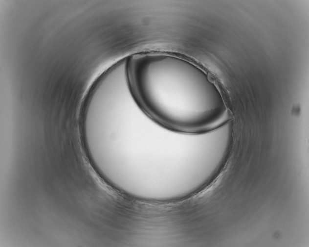 X0000091530981200709141432