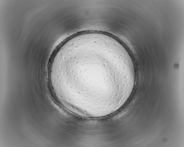 X0000091530982200709141432