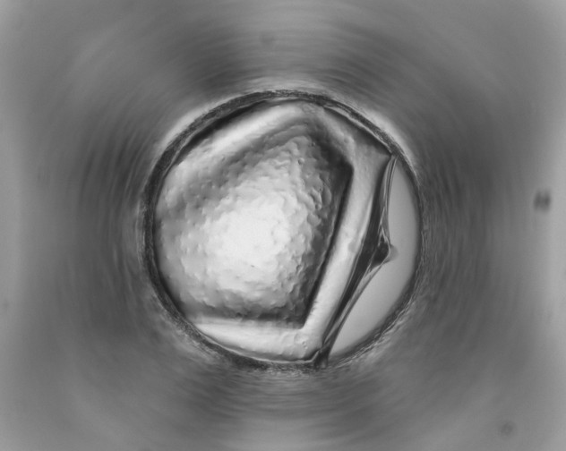 X0000091530983200709141432