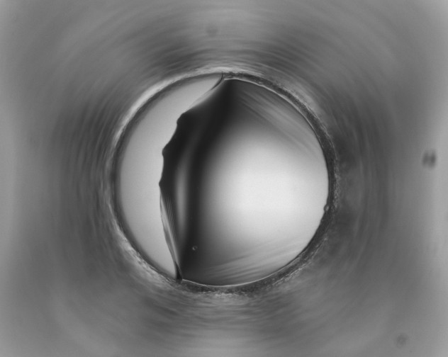 X0000091530984200709141432