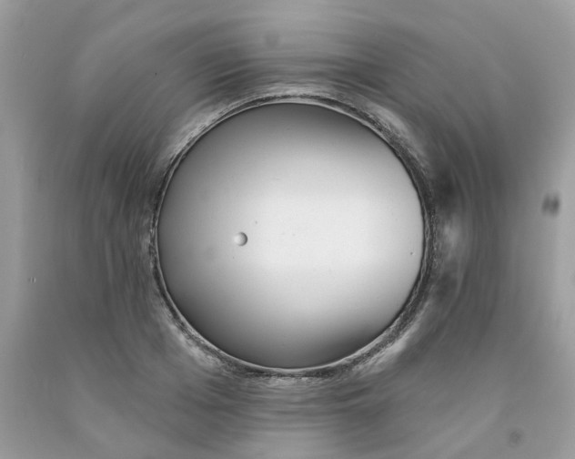 X0000091530985200709141432