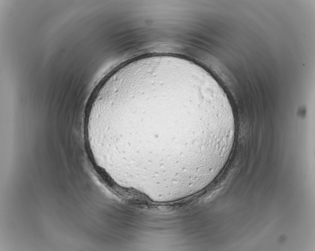 X0000091530986200709141432