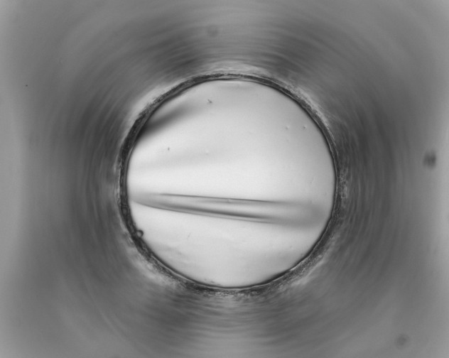 X0000091530987200709141432