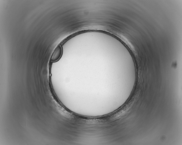 X0000091530988200709141432
