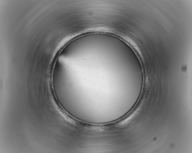X0000091530989200709141432
