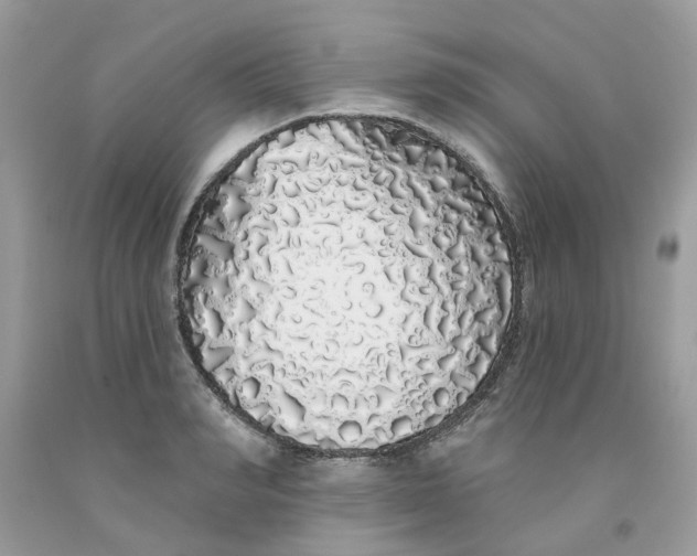 X0000091530990200709141431