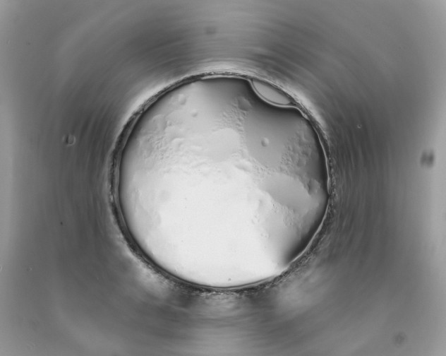X0000091530991200709141431