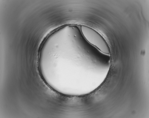 X0000091530992200709141431