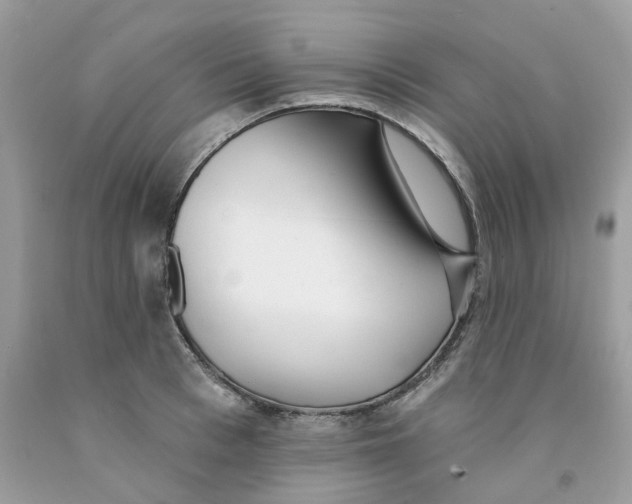 X0000091530993200709141431