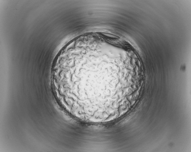 X0000091530994200709141431