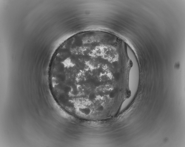 X0000091530995200709141431
