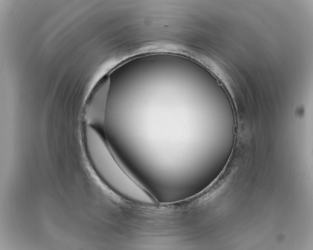 X0000091530997200709141431