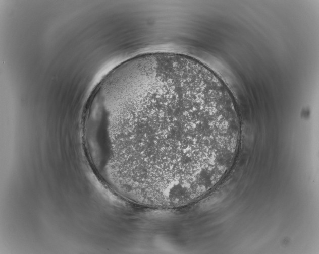 X0000091530998200709141431