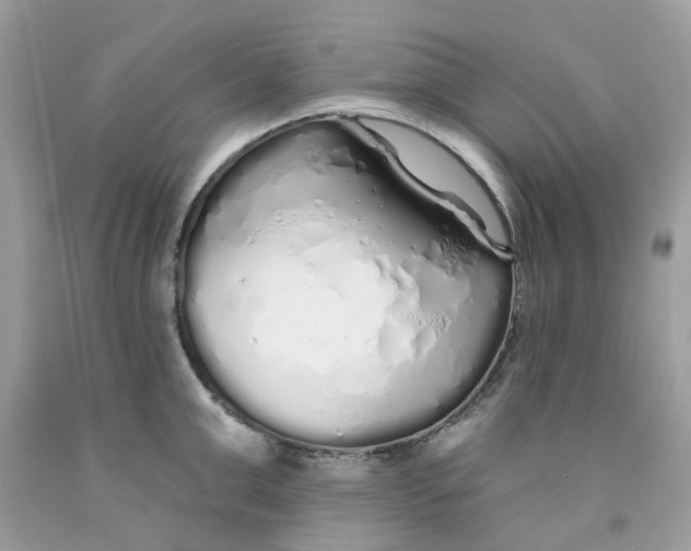 X0000091530999200709141431