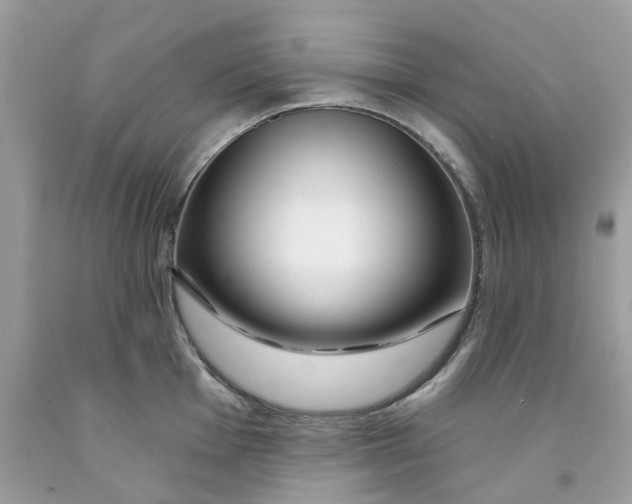 X0000091531001200709141431