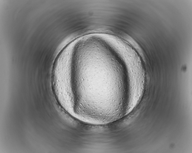 X0000091531002200709141431