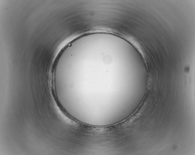 X0000091531003200709141431
