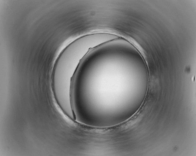 X0000091531005200709141431