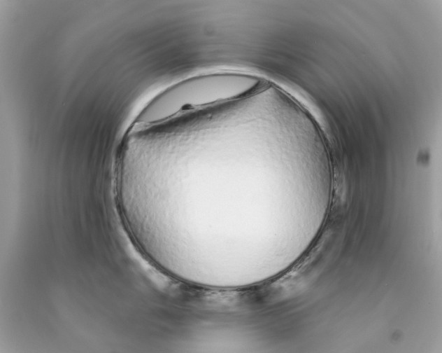 X0000091531006200709141431