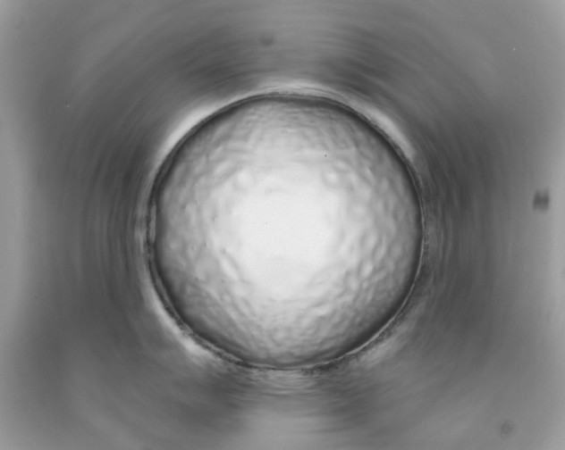 X0000091531007200709141431