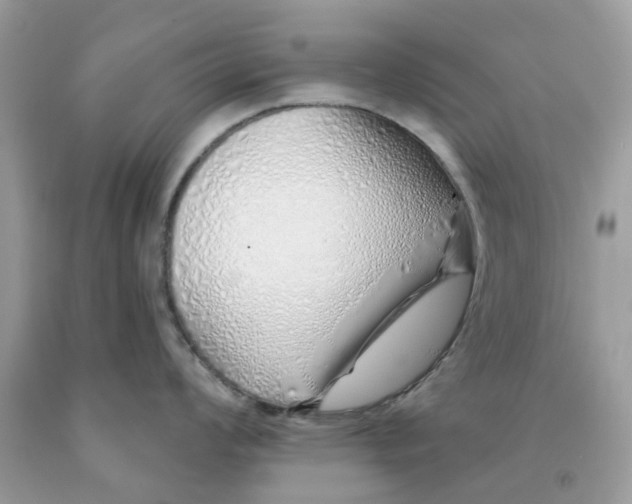 X0000091531008200709141431