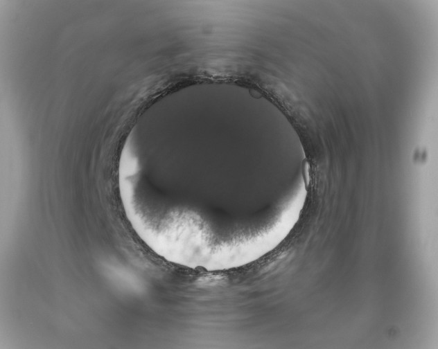 X0000091531009200709141431