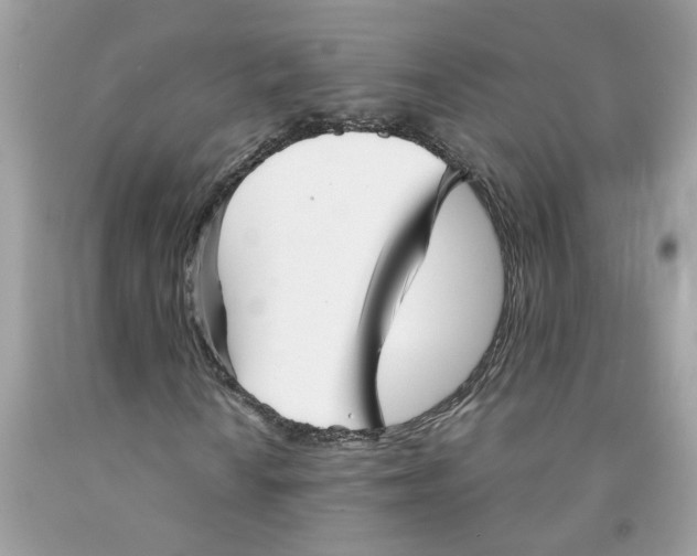X0000091531010200709141431