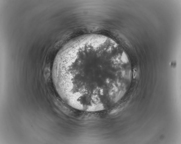 X0000091531011200709141431