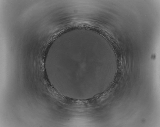 X0000091531013200709141431