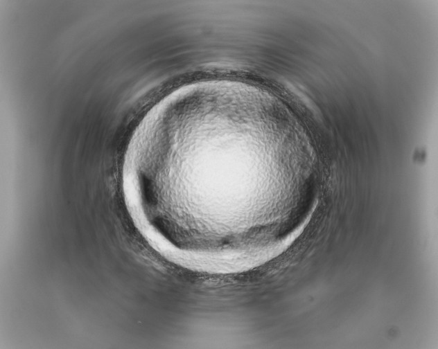 X0000091531015200709141431