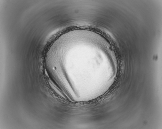 X0000091531016200709141431