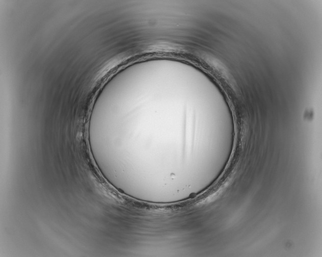 X0000091531017200709141431