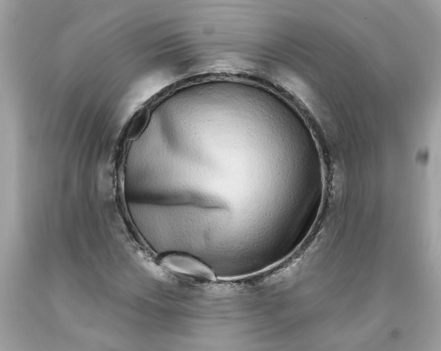 X0000091531018200709141431