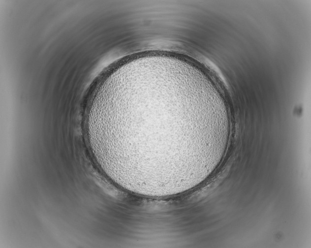 X0000091531019200709141431