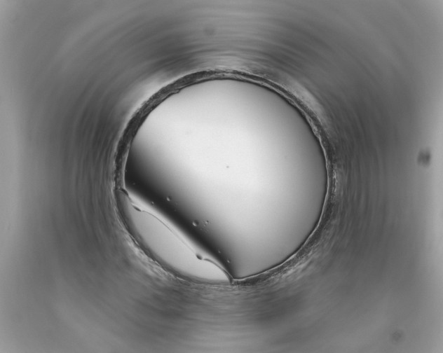 X0000091531020200709141431