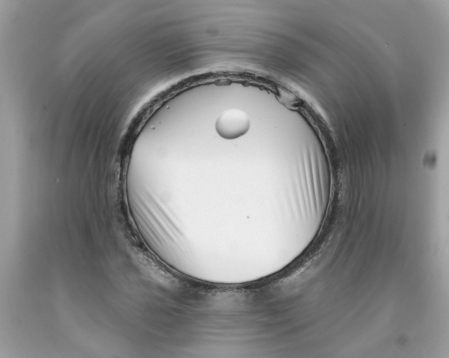 X0000091531021200709141431