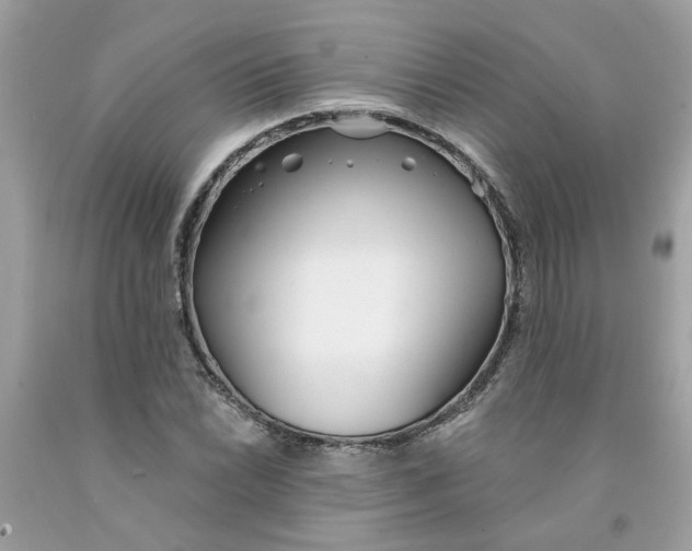 X0000091531022200709141431