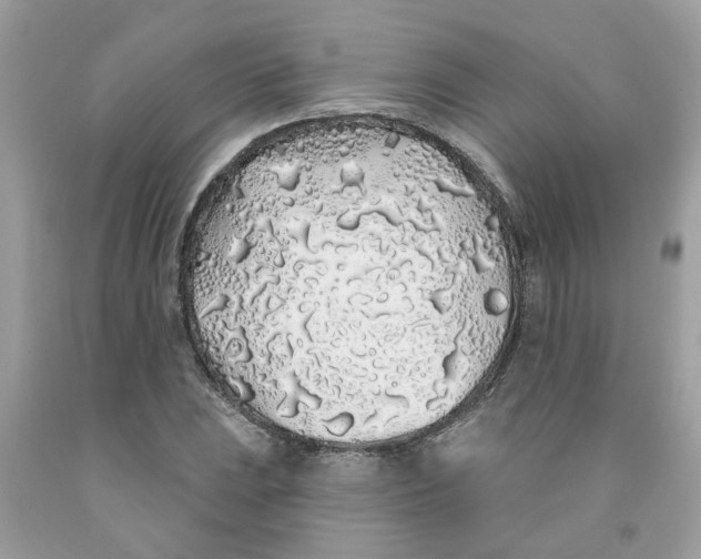 X0000091531023200709141431