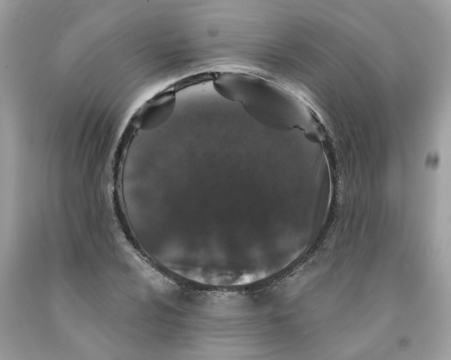 X0000091531024200709141431
