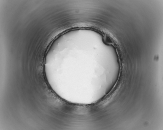 X0000091531025200709141431