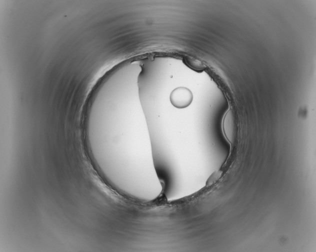 X0000091531026200709141431