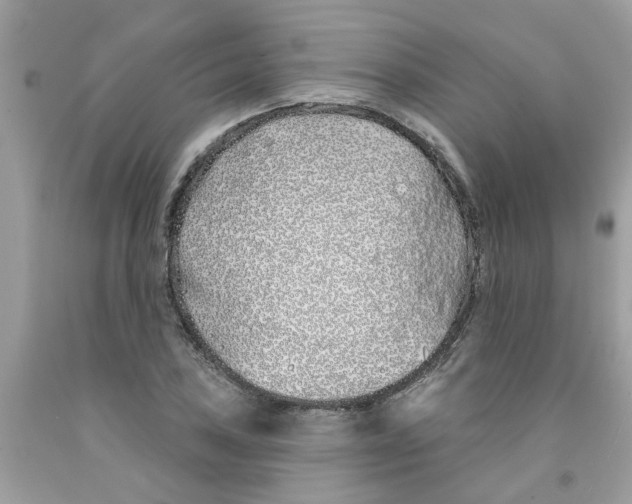X0000091531027200709141431