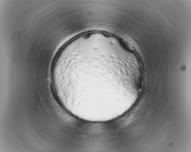 X0000091531028200709141431