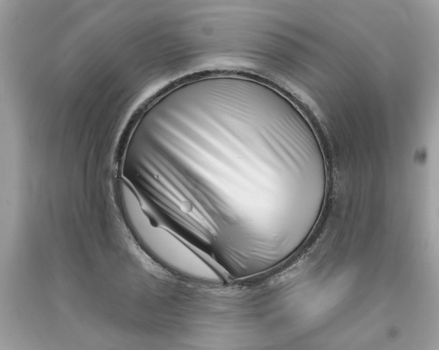 X0000091531029200709141431
