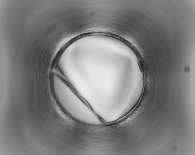 X0000091531030200709141431